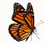 TAKENET wünscht ein frohes neues Jahr 2024